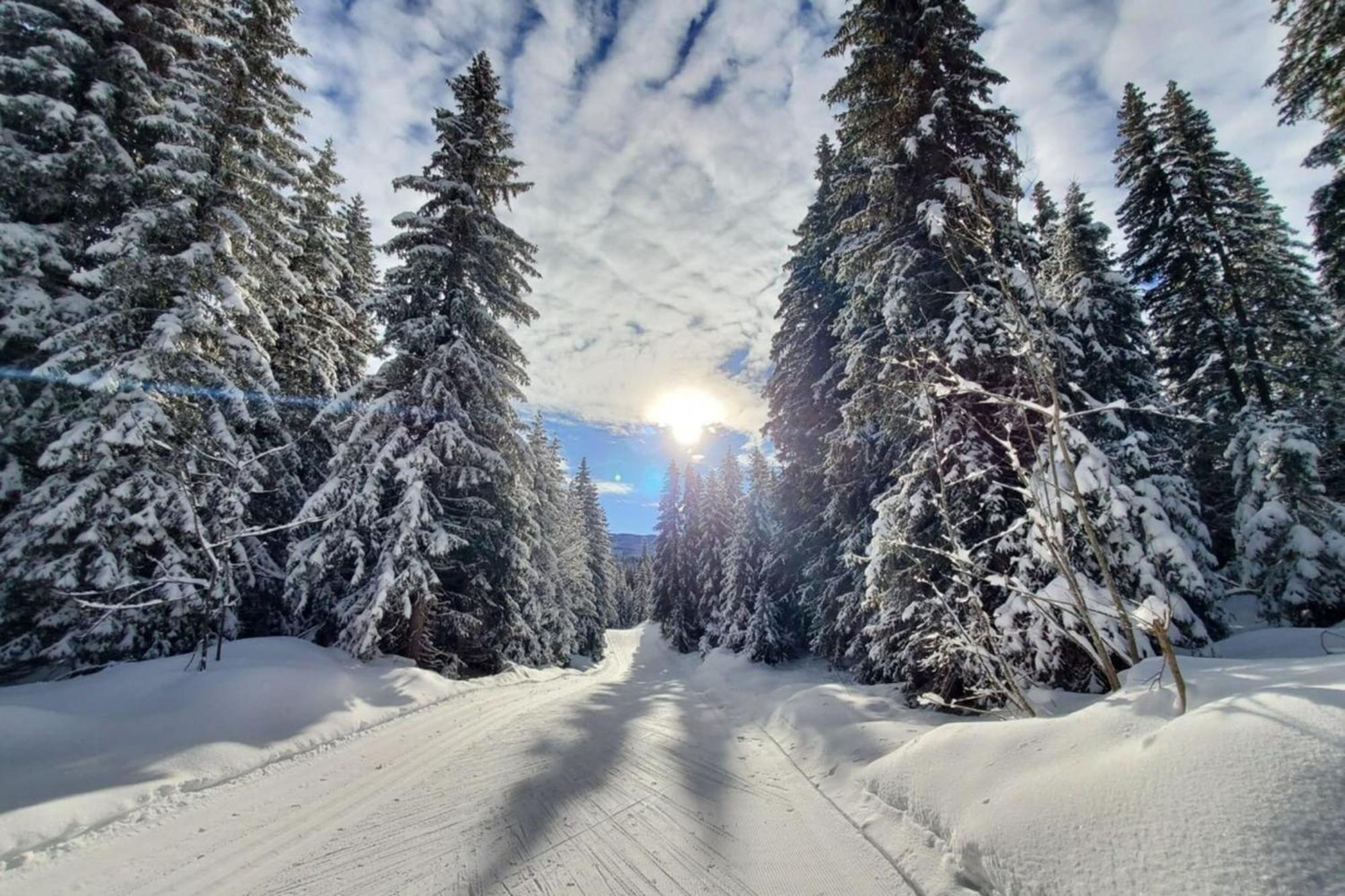Chaleureux Studio Au Pied Des Pistes - Le Refuge Les Déserts Exteriér fotografie